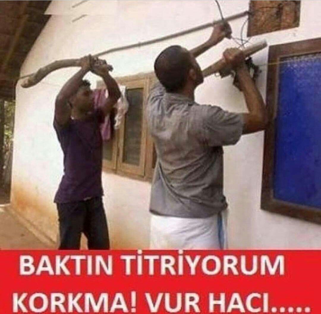 Tam  da kafama tutturman lazım.