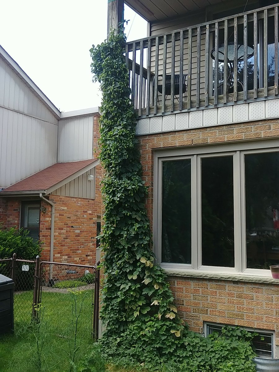 Get Crafty Co tweet media