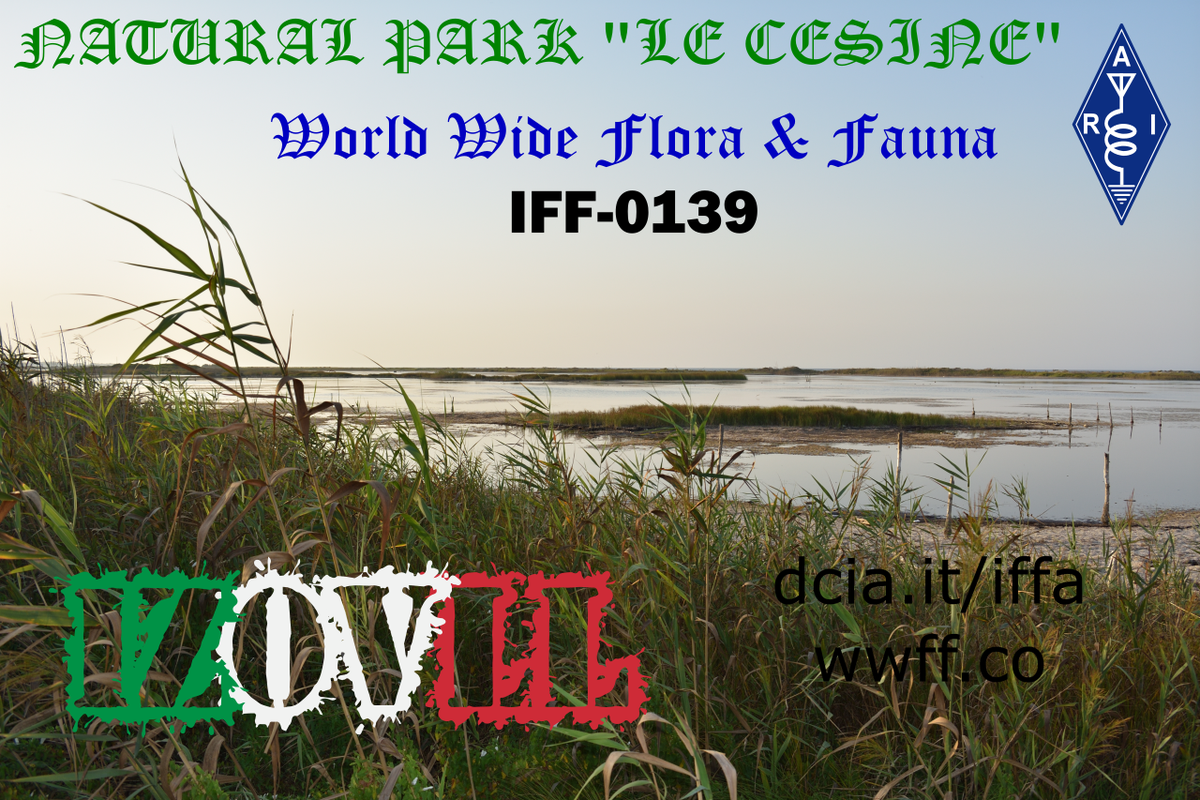 Tomorrow morning....