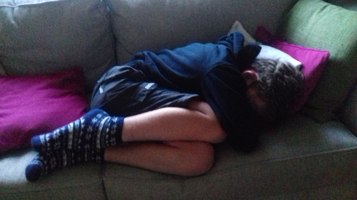 One exhausted Scout! 😴😴😴
