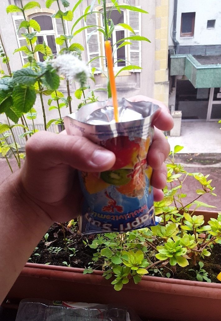 J'suis pas un mouton moi