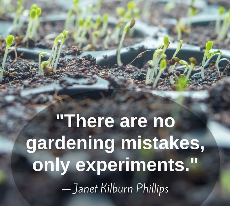 landscapemarkt's tweet photo. "There are no gardening mistakes, only experiments." #gardening #landscaping #garden #thelandscapemarket #aluminumedging #brickedging #grass https://t.co/CTNAv3xrFL