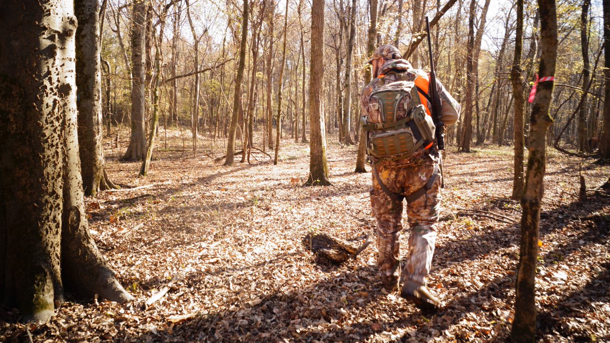 Who else is ready to get back in the woods? <a href="/Buckventures/">Buckventures</a> <a href="/Realtree/">Realtree</a> #hunting #huntingseason #deer #turkey #woods #outdoors #nature #woodsman