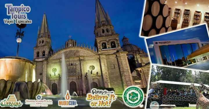tampicotours's tweet photo. Vamonos de paseo a Guadalajara y Tequila en el puente del ¡¡¡ Buen Fin ¡¡¡

Reserva Ya tus lugares.
8332350820 https://t.co/vY6tZZk6Dg