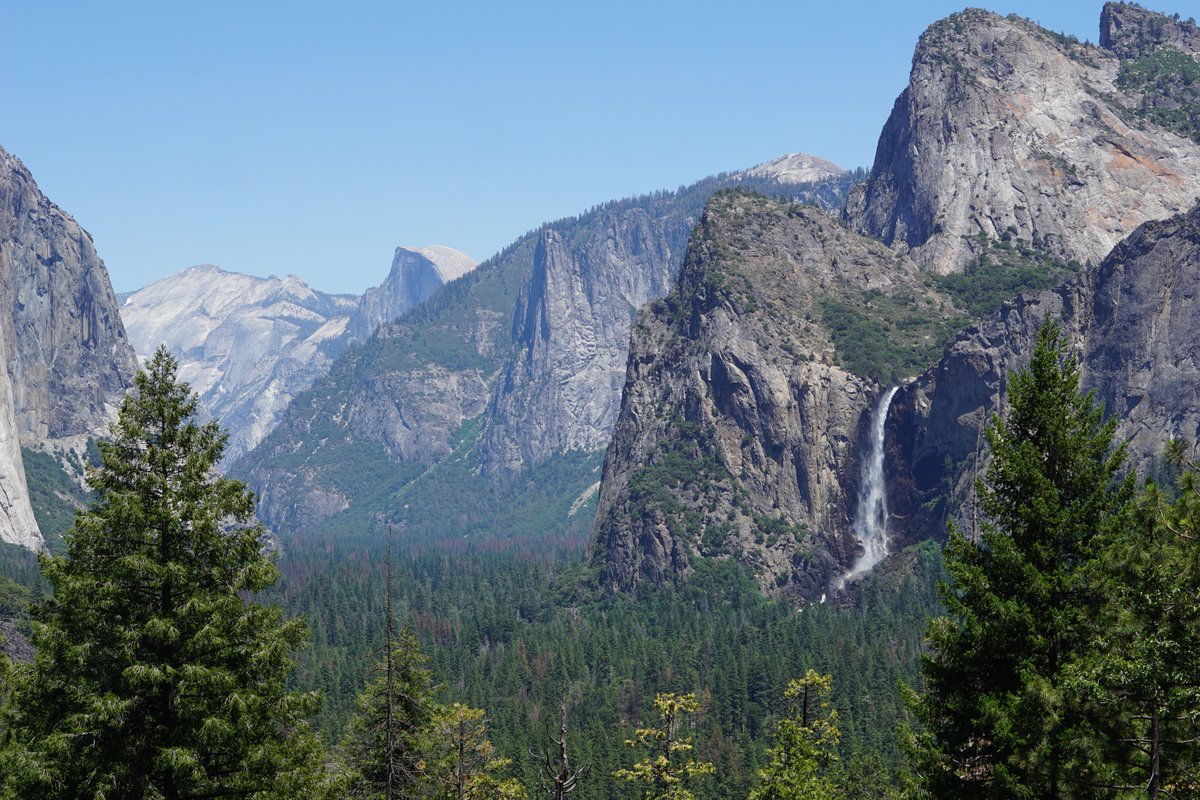 FadedFilter tweet media