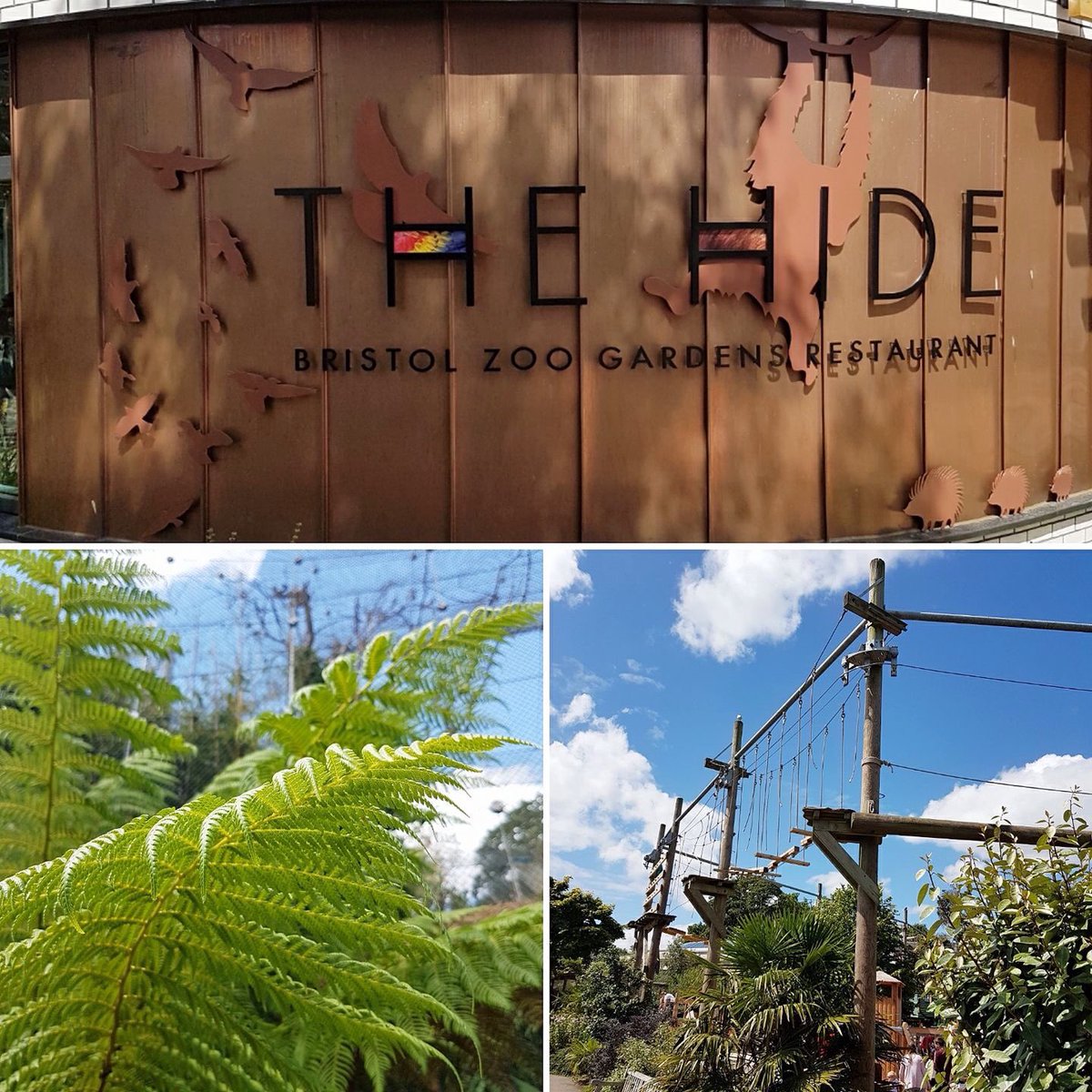 TWEET UP! August 22nd at The Hide at @BristolZooGdns 6-8pm Come see the new restaurant and event space! It's free so come mingle! 🍸