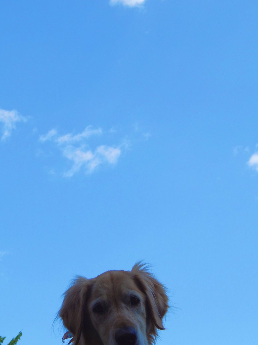 caseylrobinson's tweet photo. open for a surprise https://t.co/cCPZSqRBqf