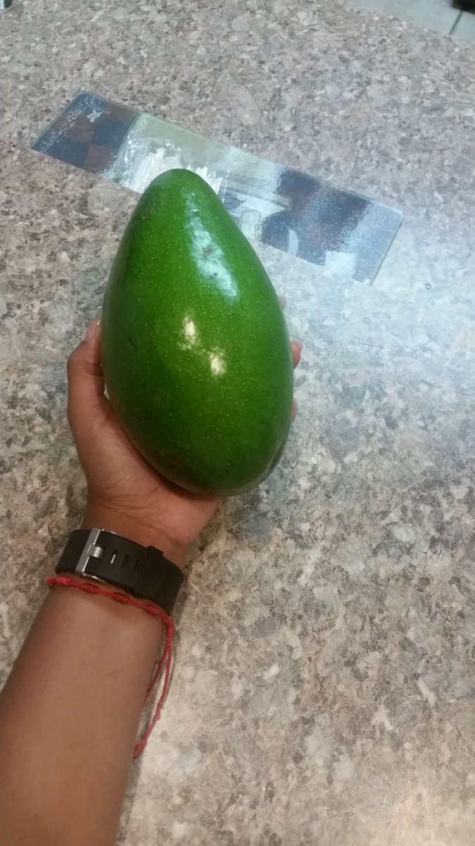 Como dice <a href="/laluzjose/">Jose Laluz</a> los aguacates estan de moda! Esta es mi mata en Orlando, FL. 😊