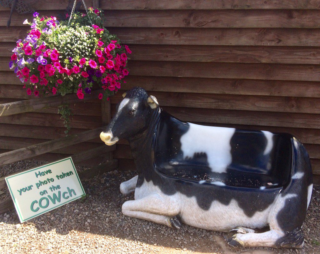 simoit's tweet photo. @otfrom I saw this and thought of you, friend
#pun
#COWch https://t.co/UUZMUnVwCW