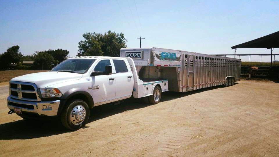 JimManningDCJR's tweet photo. A Huge Thank You to Sousa Livestock Hauling on the purchase of a New 2017 Ram 5500 Crew Cab 4X4! We❤️to see your Ram working hard for you! https://t.co/5gle9jrmdC