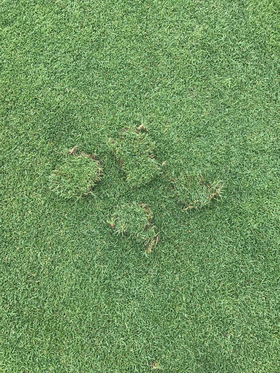 ForsgateGolfDpt's tweet photo. To replace or not to replace.... #divot vs #sandmix #njgolf what do you think? @ForsgateCC @awparcells3 @njvikefan @bleach_golf https://t.co/gEHYKYvg2C