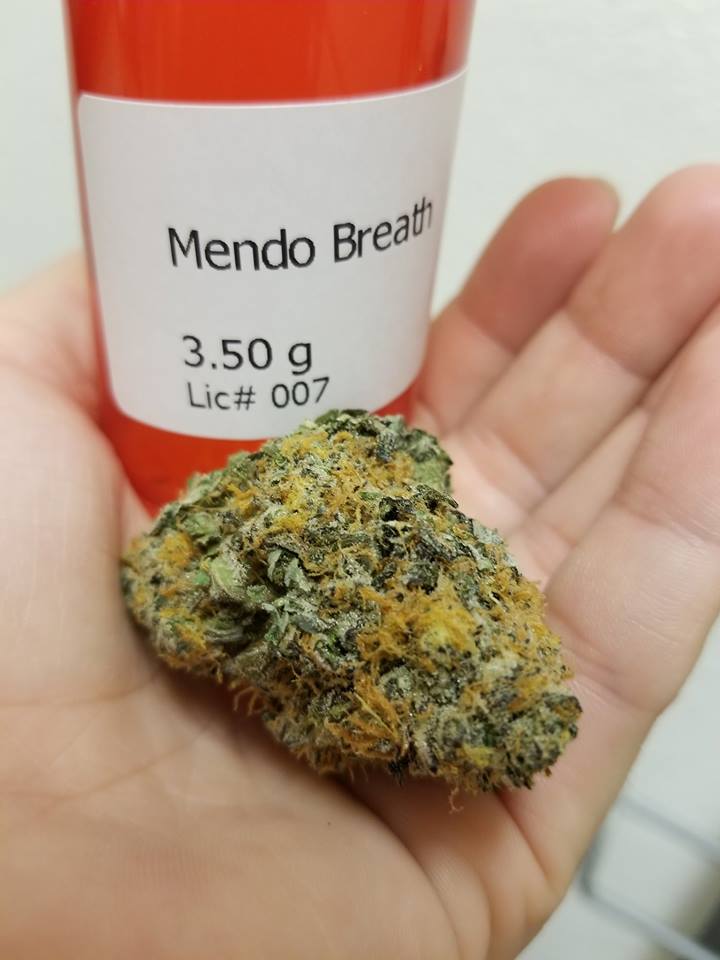 ShowGrowRamona's tweet photo. This O.G. Kush Breath and Mendo Montage Cross that gives you a powerful body high great for chronic pain and stress relief! #ShowGrow 🙃 https://t.co/Vu3zayvO85