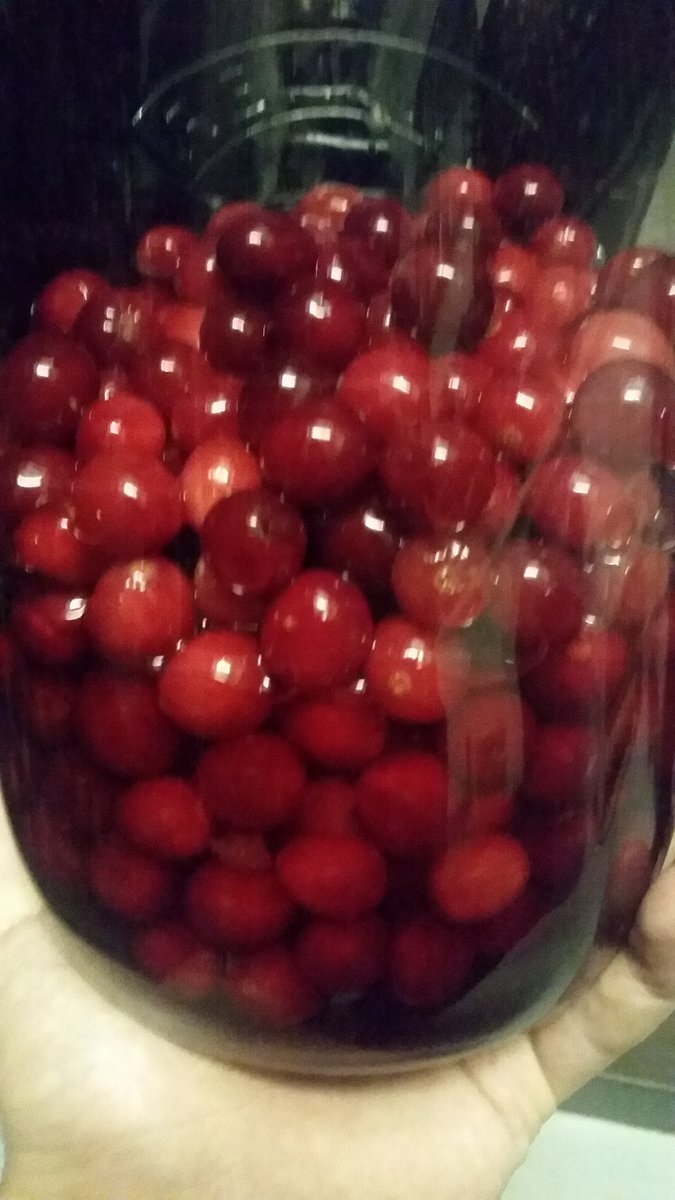 IlsingtonHotel's tweet photo. Looking forward to making some cocktails with this orange and cranberry infused vodka in a couple months. #flavour #winterdrinks https://t.co/yEO8orJMTC