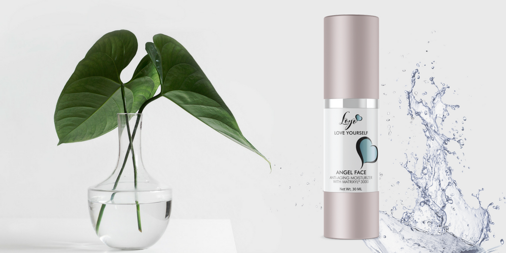 theloyocompany's tweet photo. #Matrixyl 3000 is a long term fix for aging skin -It uses ingredients that boost #collagen production https://t.co/YO29faBzcG #skincareshare https://t.co/PXXda5nReV