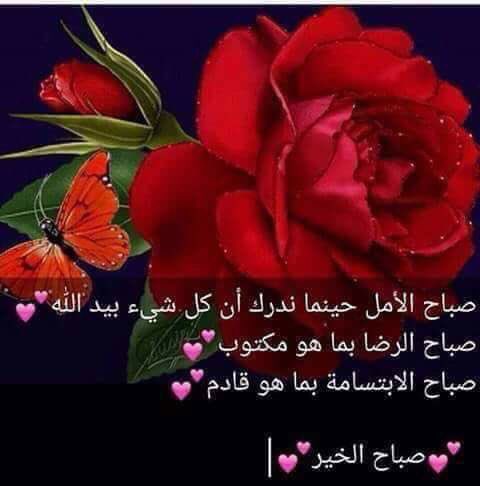 خالد العراقي (@ppllkmmqqaazz00) on Twitter photo 