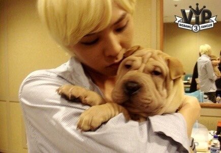 lqjiyongpics's tweet photo. https://t.co/9lcK858mg6