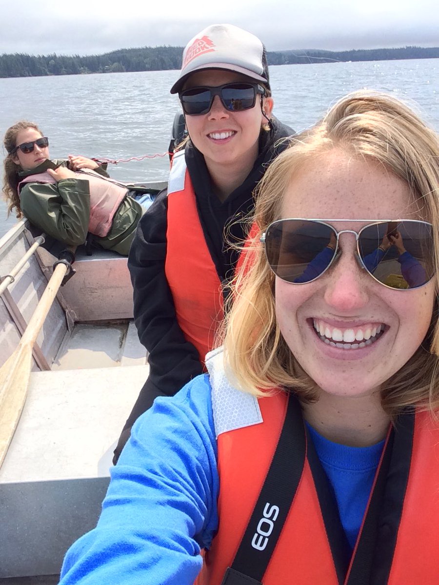 ashkerik's tweet image. One last rip on the cope. 🐋🌊 #SMCW2017 #bamfieldmsc #bamfield #barkleysound @BamfieldMSC @JasonTFisherLab @christy_jam