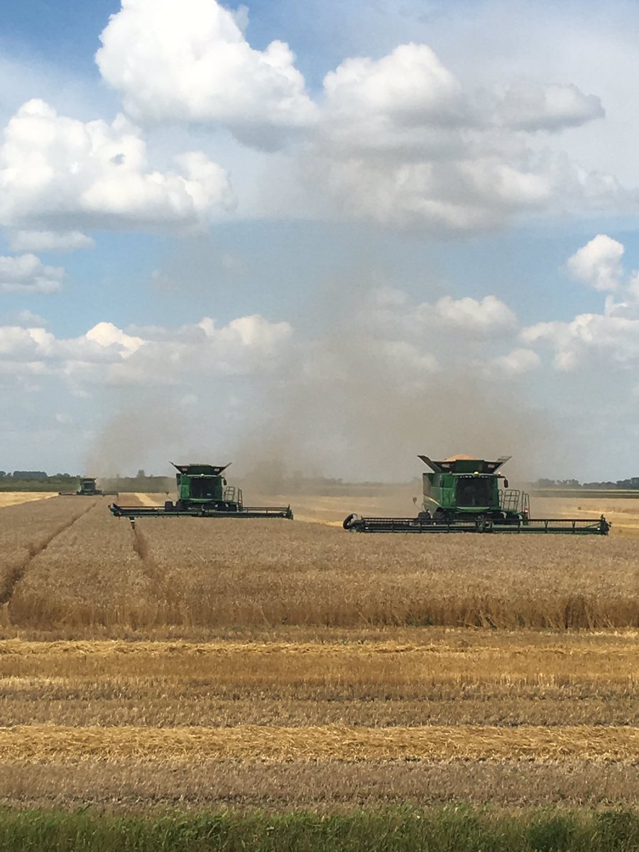 Harvest is just starting in southern mb