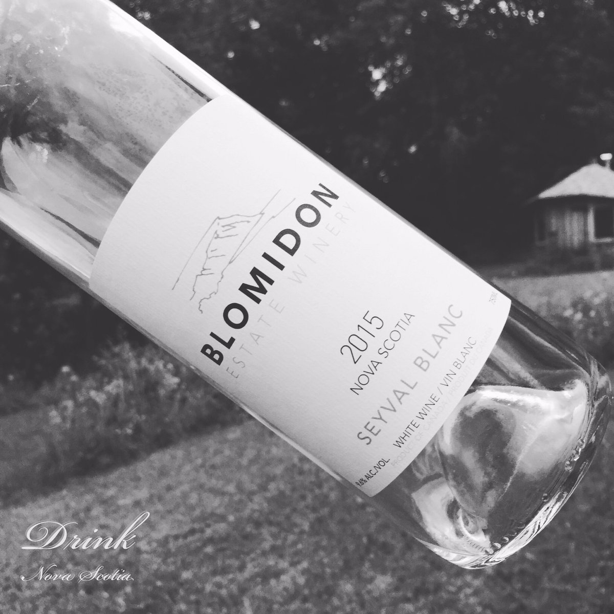 Drink_NS's tweet photo. Beautiful Seyval! #drinkns #seyvalsofsummer #nswine https://t.co/CF158RUlZf