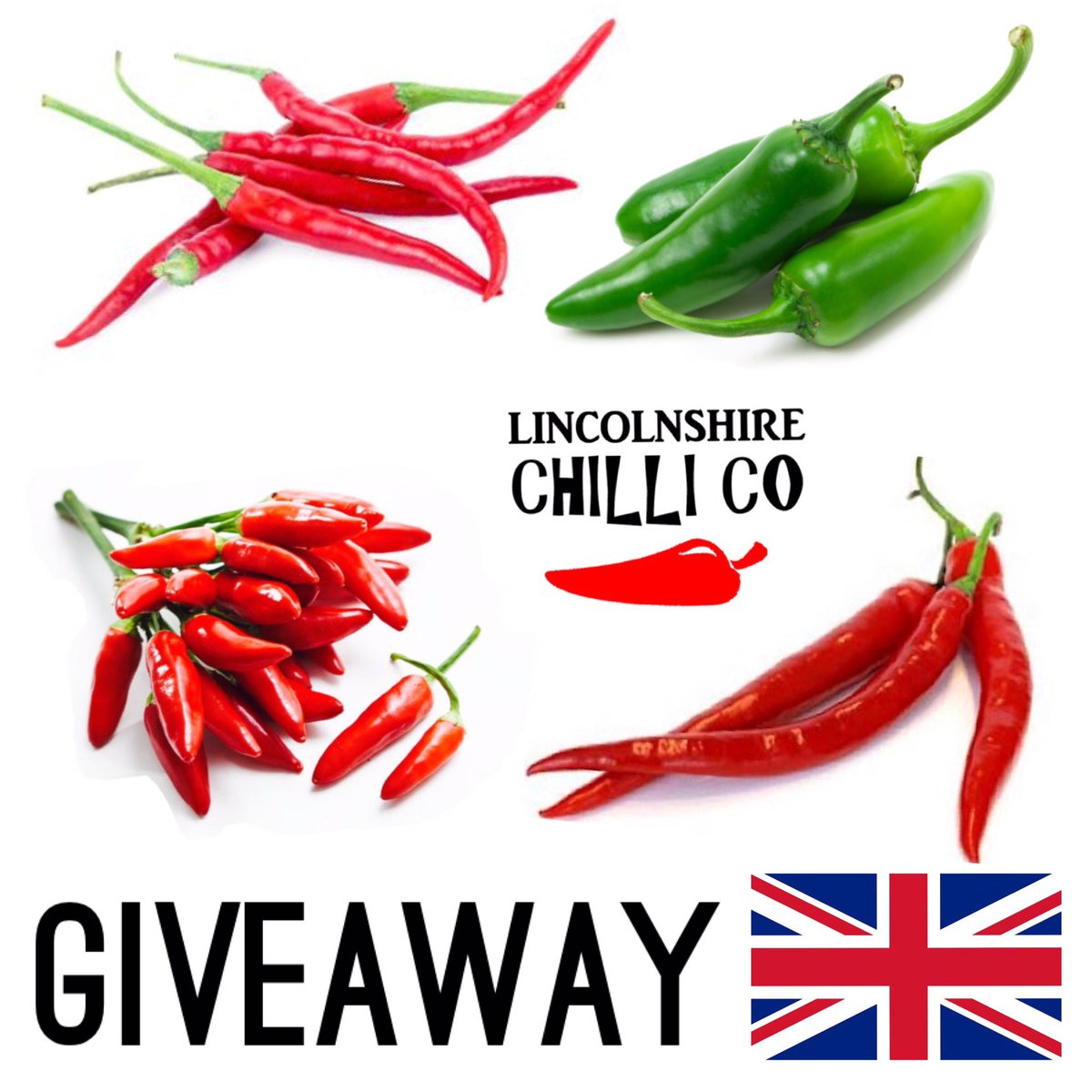 LincolnshireChilliCo tweet media