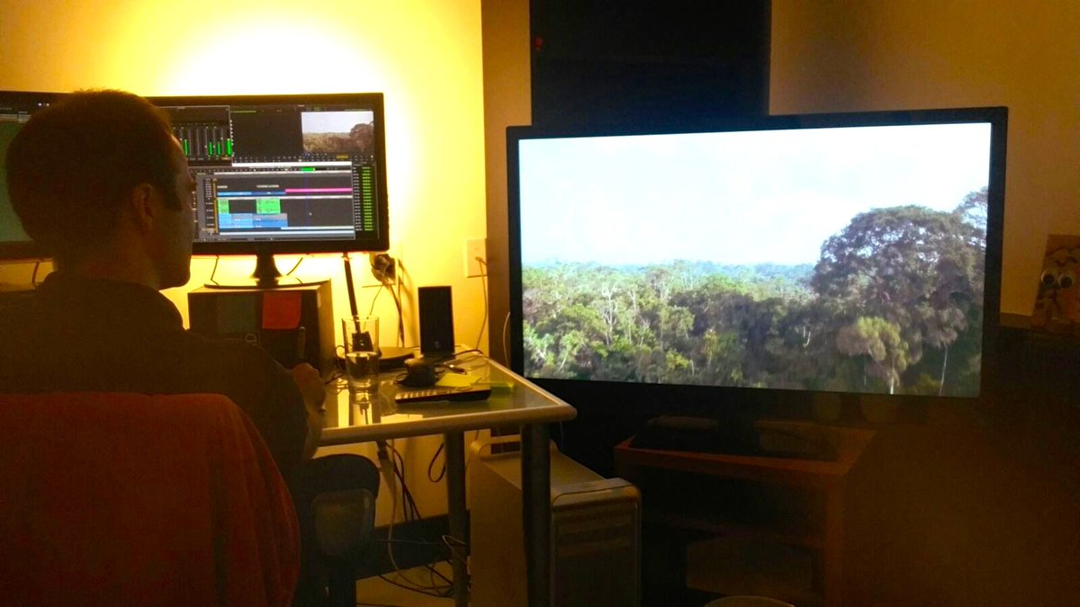 Stephanie Weimar (@stephweimar) on Twitter photo Editing our story on #Tiputini Biodiv Station in #Amazon w Nathan Shields <a href="/PrimitiveDocs/">Primitive Entertainment</a> for upcoming #arte series #equator #yasuni Excited! Editing our story on #Tiputini Biodiv Station in #Amazon w Nathan Shields <a href="/PrimitiveDocs/">Primitive Entertainment</a> for upcoming #arte series #equator #yasuni Excited!