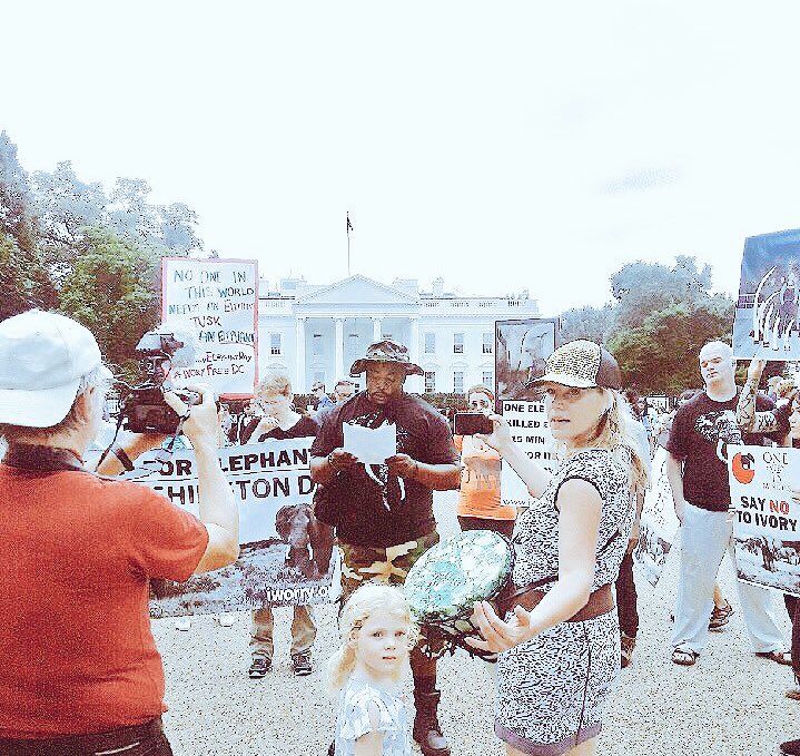elephantsdc's tweet photo. #WorldElephantDay — Listen to the words of Congolese ranger Adams Cassinga @WhiteHouse https://t.co/3TGSlKwqRb @CongoConserv #IvoryFreeDC 💕🐘 https://t.co/OFbOLjUiMP