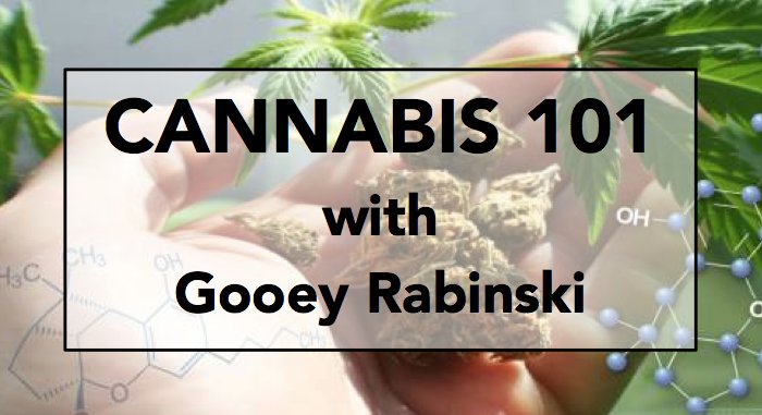 RobbinsGroupLLC's tweet image. "Gooey Rabinski from California is an encyclopedia of cannabis knowledge." —Cannabis Health Radio &amp;gt; GooeyRabinski.com @PodcastCannabis