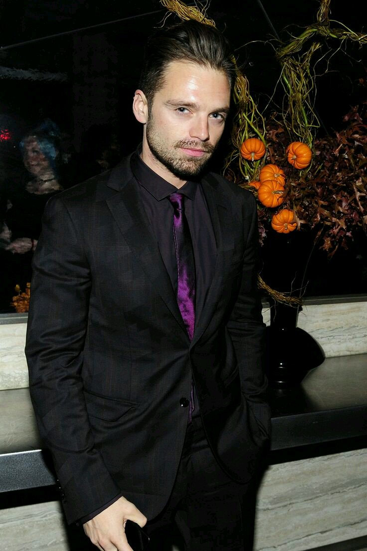 Happy BIrthday Sebastian Stan, your eyes say more than a thousand words ever could    