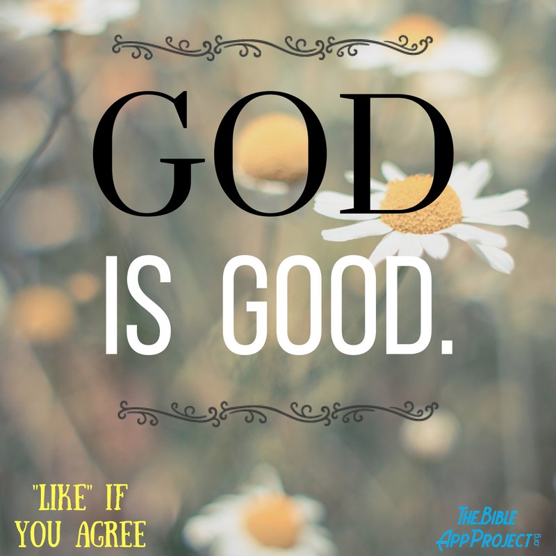 BibleAppProject's tweet image. God is good all the time. 💖

Please say Amen and Pass On. 🙏

Follow: instagram.com/the.bible.app.…

#BibleQuotes #BibleVerses #Inspiration #Jesus