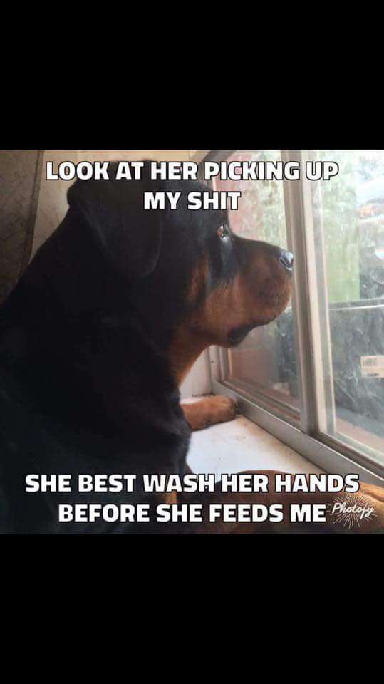 MissIntegrity49's tweet photo. Approach with caution #Moodcard .....Nite xx https://t.co/yCnRreWIuk