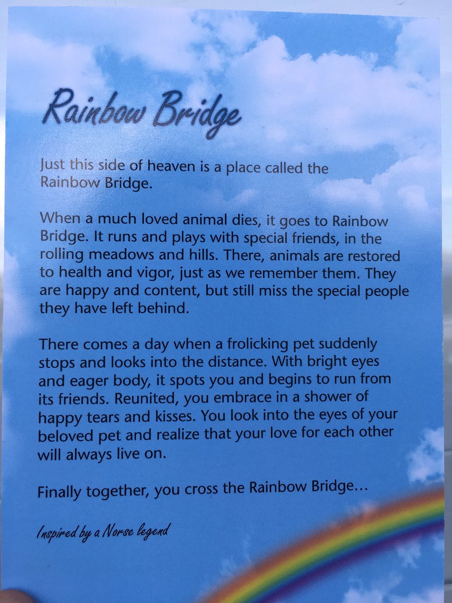 girliewthecurls's tweet photo. every time i read this i just sob uncontrollably https://t.co/nJYoNV0vr7
