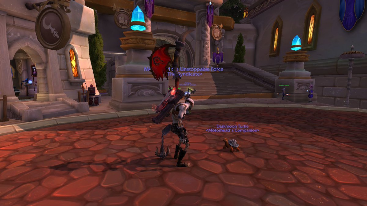 MotorheadWoW's tweet photo. My first #Darmoon Turtle pet!!! Opening 67 prize boxes gave me him <3 @Warcraft #warrior #Pets https://t.co/NPtV7gywFy