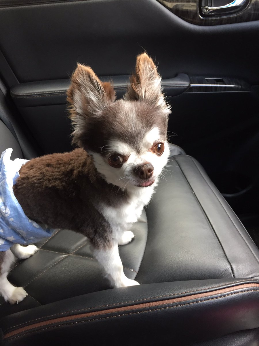 d_doguchi's tweet photo. ほなね大阪 https://t.co/4JeXU5I3Kt