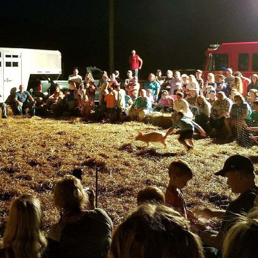 tylermillertv's tweet photo. Yearly greased pig competition. 😂 🐖🐖🐖#country #redneck #yesthisisathing #dontbejealous https://t.co/wiK4Hq6TGt https://t.co/DDHRDN53G2
