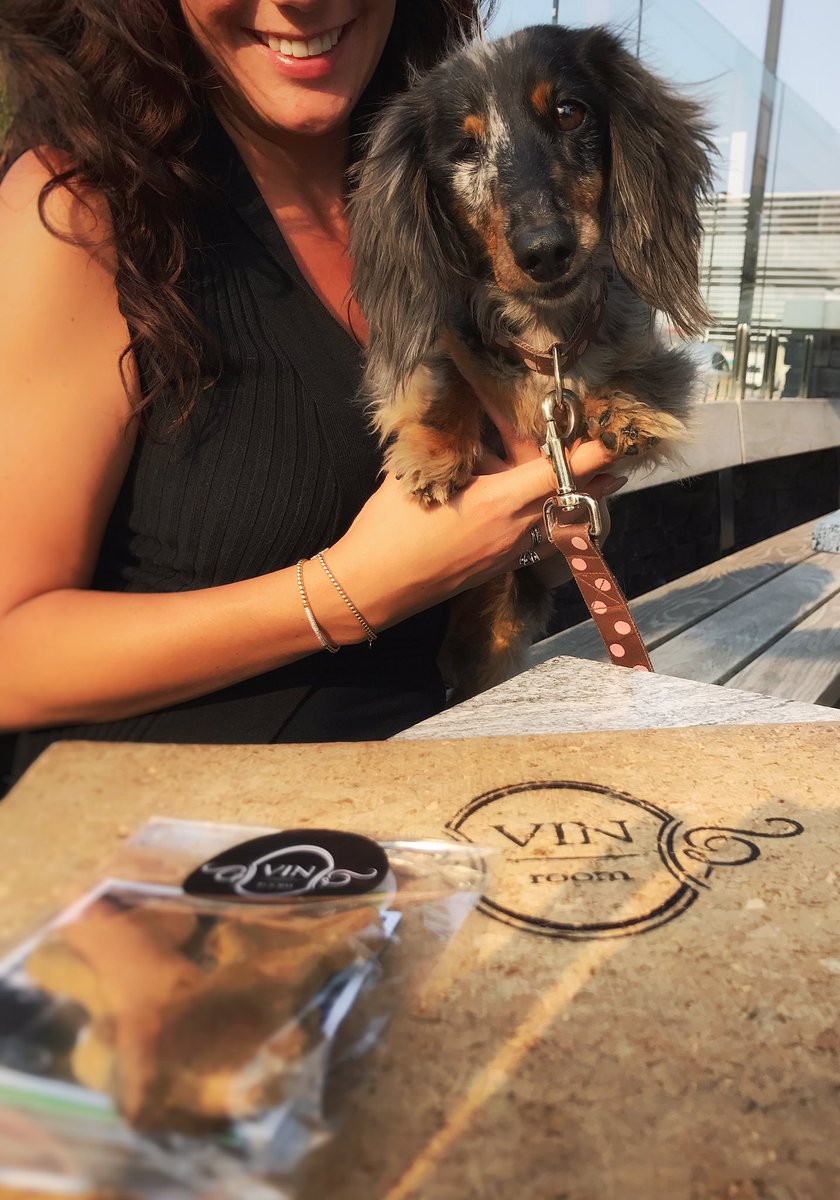Cale_White's tweet photo. The look of "...and we don't eat here every day why?"

@VinRoom knows the secret to making wine &amp; nosh better is your fur buddy #OfCourse https://t.co/YwTfDY0vOC