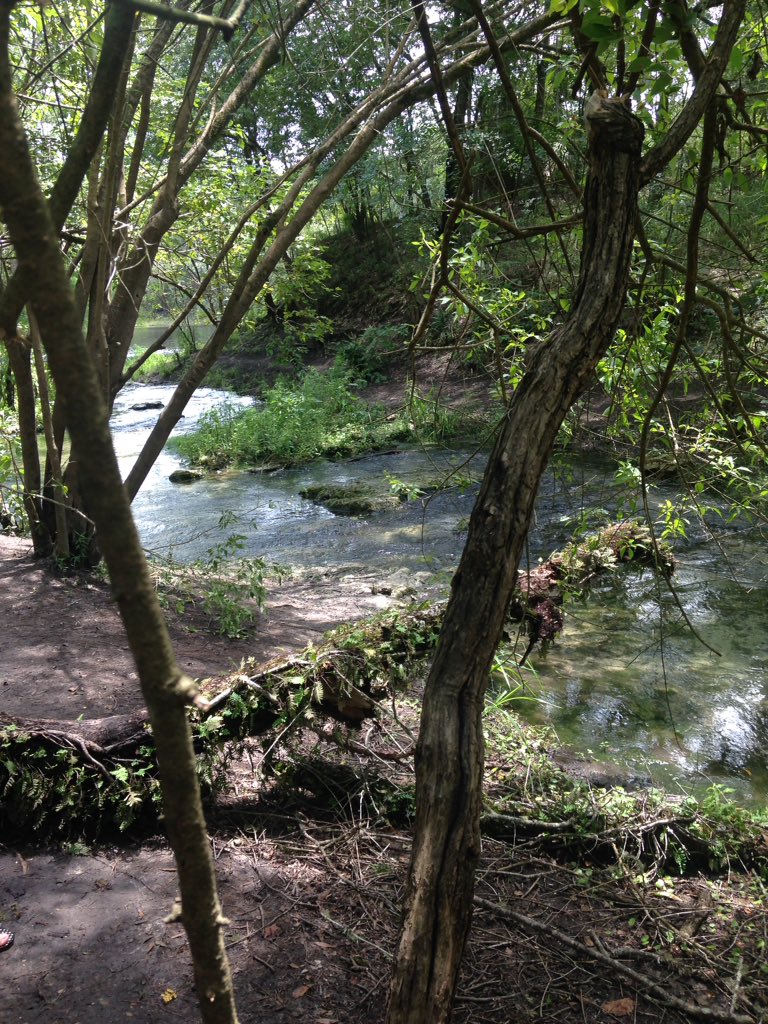 //took this today at royal springs in Florida, USA.