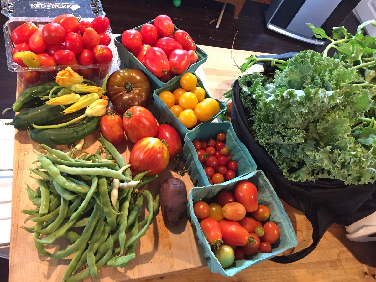 NearingHelen's tweet photo. Small spaces yield abundant #harvest! #communitygarden #growyourown #UrbanAgBoston https://t.co/LEWmaR33dI