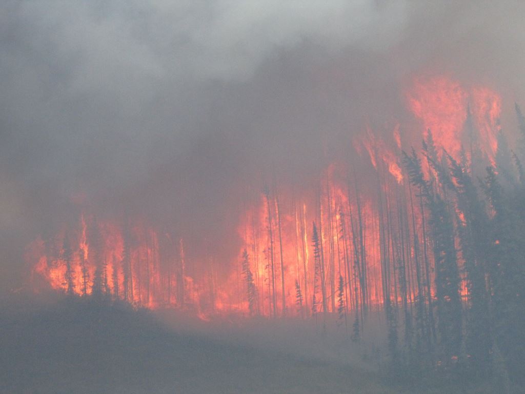 BCGovFireInfo's tweet photo. #BCHwy20 closed due to #BCwildfire activity in Bald Mtn area: https://t.co/gQJfsVB638 https://t.co/18tZ0fE3Zk