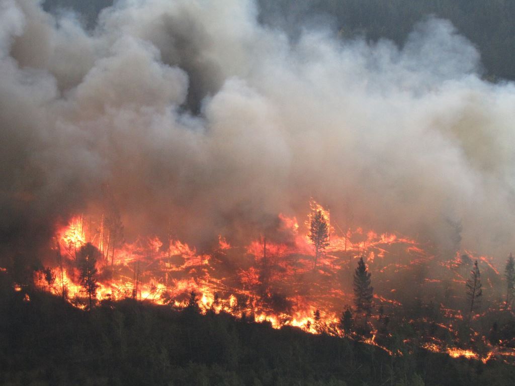 BCGovFireInfo's tweet photo. #BCHwy20 closed due to #BCwildfire activity in Bald Mtn area: https://t.co/gQJfsVB638 https://t.co/18tZ0fE3Zk
