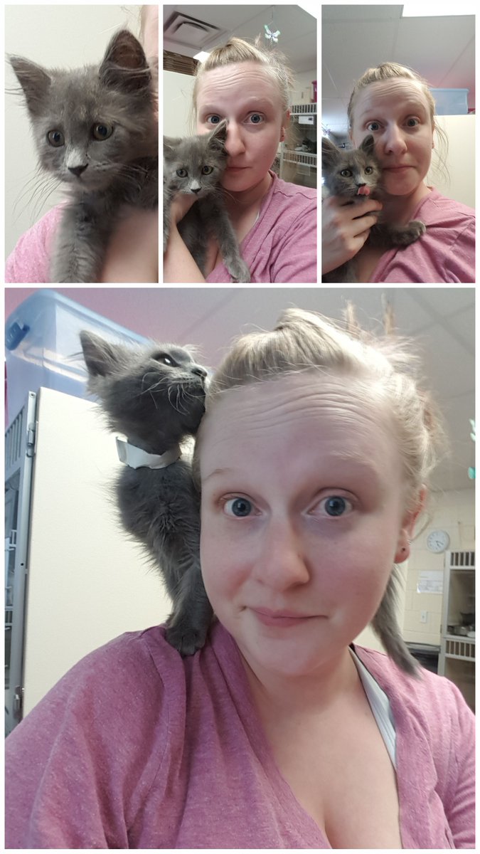 BabsraAnn's tweet photo. Lots of adorable loving animals in animal shelters waiting for their forever homes. This one's at the Laramie Animal Shelter #adoptmeplease https://t.co/HuA4m0pd7B
