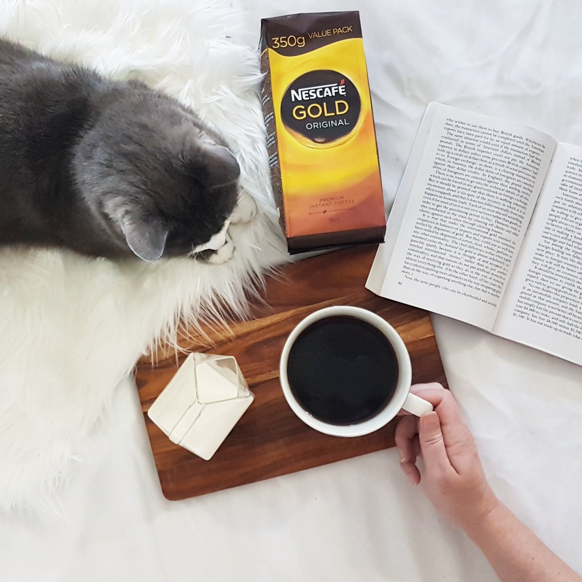 mr_tobykitty's tweet photo. Sunday afternoon at it's  finest; we have spent the afternoon  chilling before the work week starts ☕ @SocialSoupHQ #nescafegold #sunday https://t.co/LeOL46j7ZK