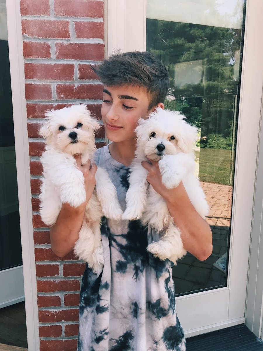 DinezJohnny's tweet photo. what's better than one puppy?😍 https://t.co/dopJzams1v
