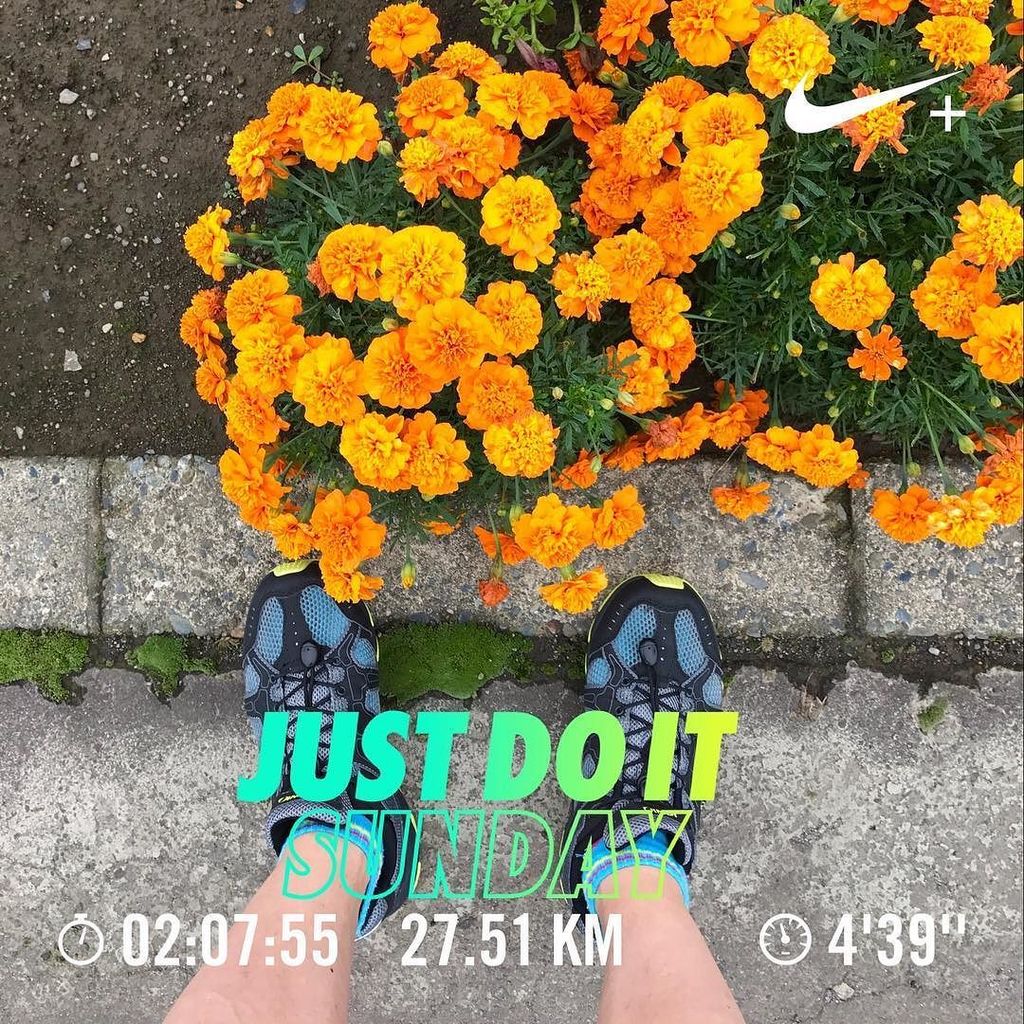 maru_9600's tweet photo. . .
17mile DONE👏👏👏
#Sundayisrunday #justdoit
22℃ 74% humidity 
#iphone7
#applewatch
#nikewatch
#hokkaido
#japan
#mobileshotz_ 
#ig_runner
#… https://t.co/HyFA9zh2Zw
