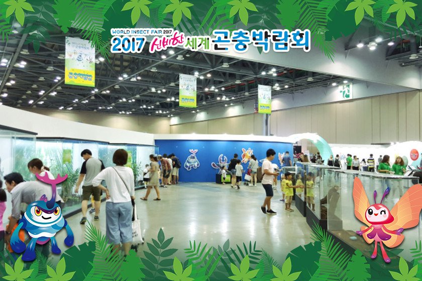 #후라이팬당첨 - 곤충박람회!   - 박람회 실시간 리뷰 더 보기 ▶  kamp.im/fvne3