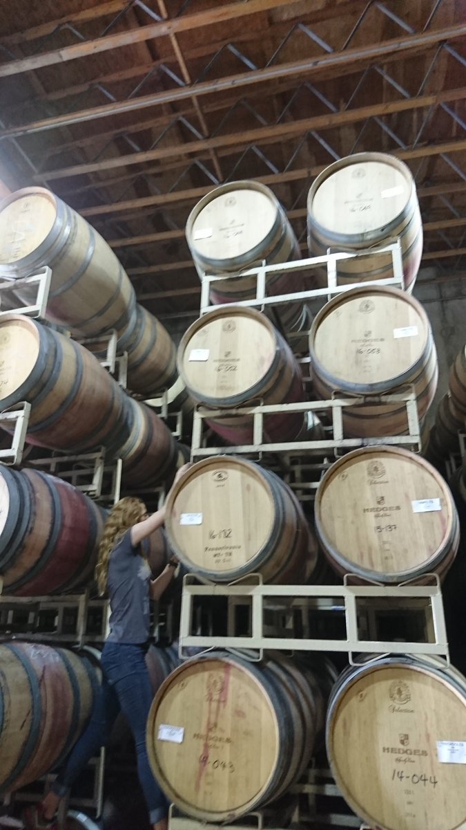 #barrelsampling <a href="/hedgeswine/">HEDGES 🍷 BIODYNAMIC WINERY</a> #yummy