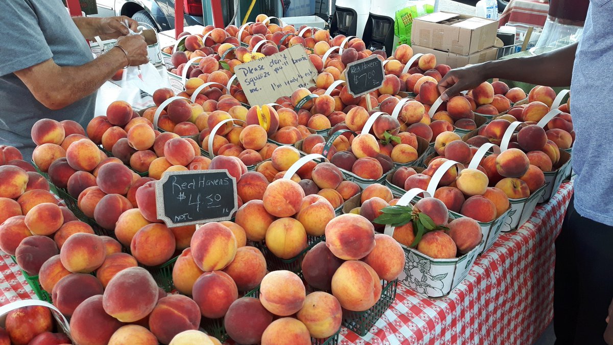 CantineBar's tweet image. Trees are ripe in Niagara!