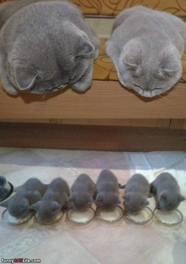 <a href="/r95731/">💓 s a R a v 💓 🇮🇳मेरा भारत महान🇮🇳 🥰100 K+🥰</a> <a href="/kutty00007/">Kutty</a> <a href="/lechim95/">Lechim</a> <a href="/coop2652/">Rich  Cooper</a> <a href="/KennethIvanPal3/">Kenneth Ivan Palmer</a> <a href="/pepperpicker11/">JOHNPLAYER316@gmail.</a>