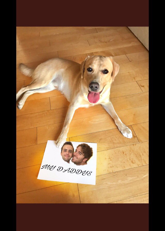 basicallybleu's tweet photo. i wish i could explain what was going through my mind when i made these. #shanepaper @shanedawson https://t.co/OARWIWsyvK