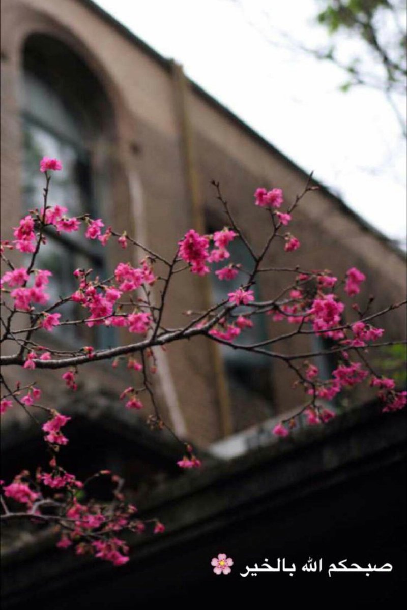 #تغريده_صباحيه
#يخبرني_الصباح 
رب هذا صباح منك قد عادا
فزد به أصدقاء الصبح إسعادا 
واجعله خيرا لمن يبنون أنفسهم
الساعين للمجد جمعا وأفرادا