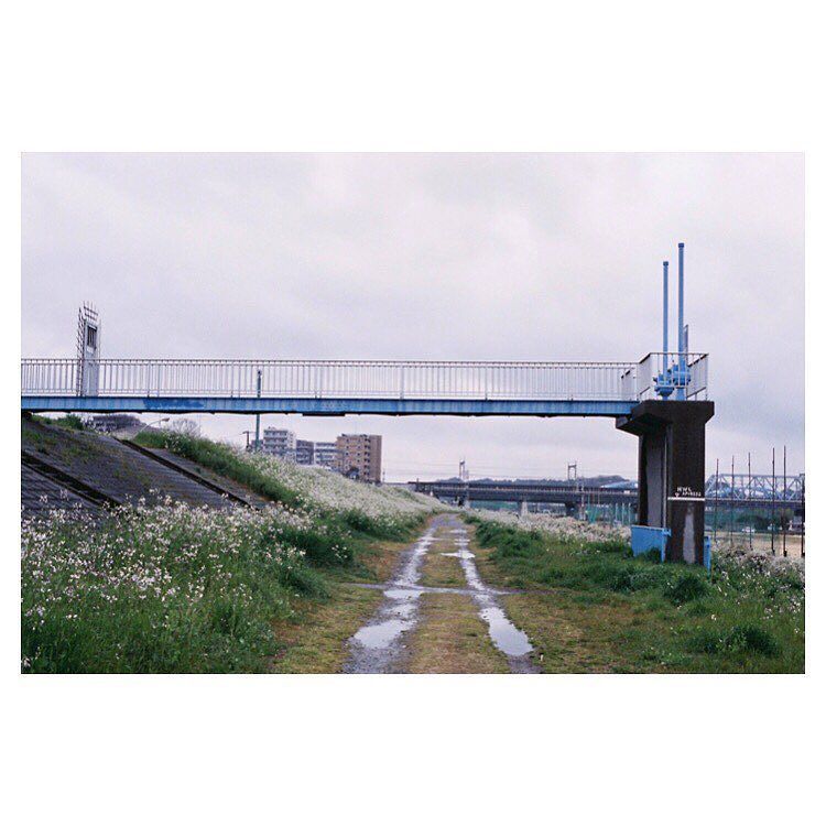 HisaFoto's tweet photo. 「丸子リバサイド」
.
.
.
#agfa #optimaparat #solinar #halfframe #ハーフカメラ #フィルム写真 #kawasaki #tokyo #reco_ig #hueart_life #igm… https://t.co/e8PL8Fe9kX https://t.co/f7WzUivECb